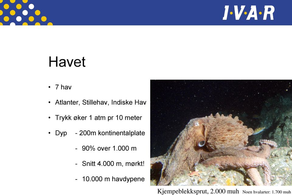 90% over 1.000 m - Snitt 4.000 m, mørkt! - 10.