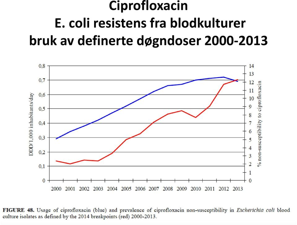 blodkulturer bruk av