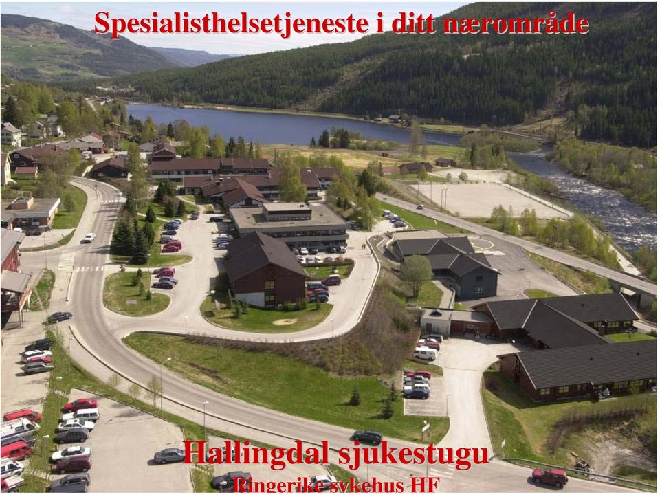 Hallingdal sjukestugu