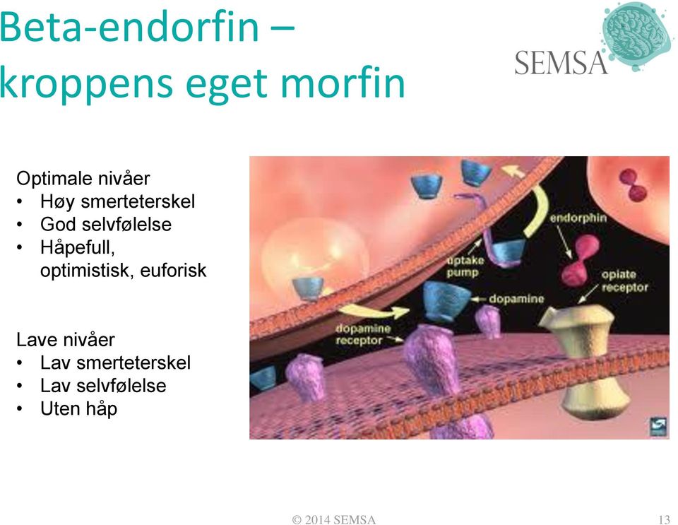 Håpefull, optimistisk, euforisk Lave nivåer