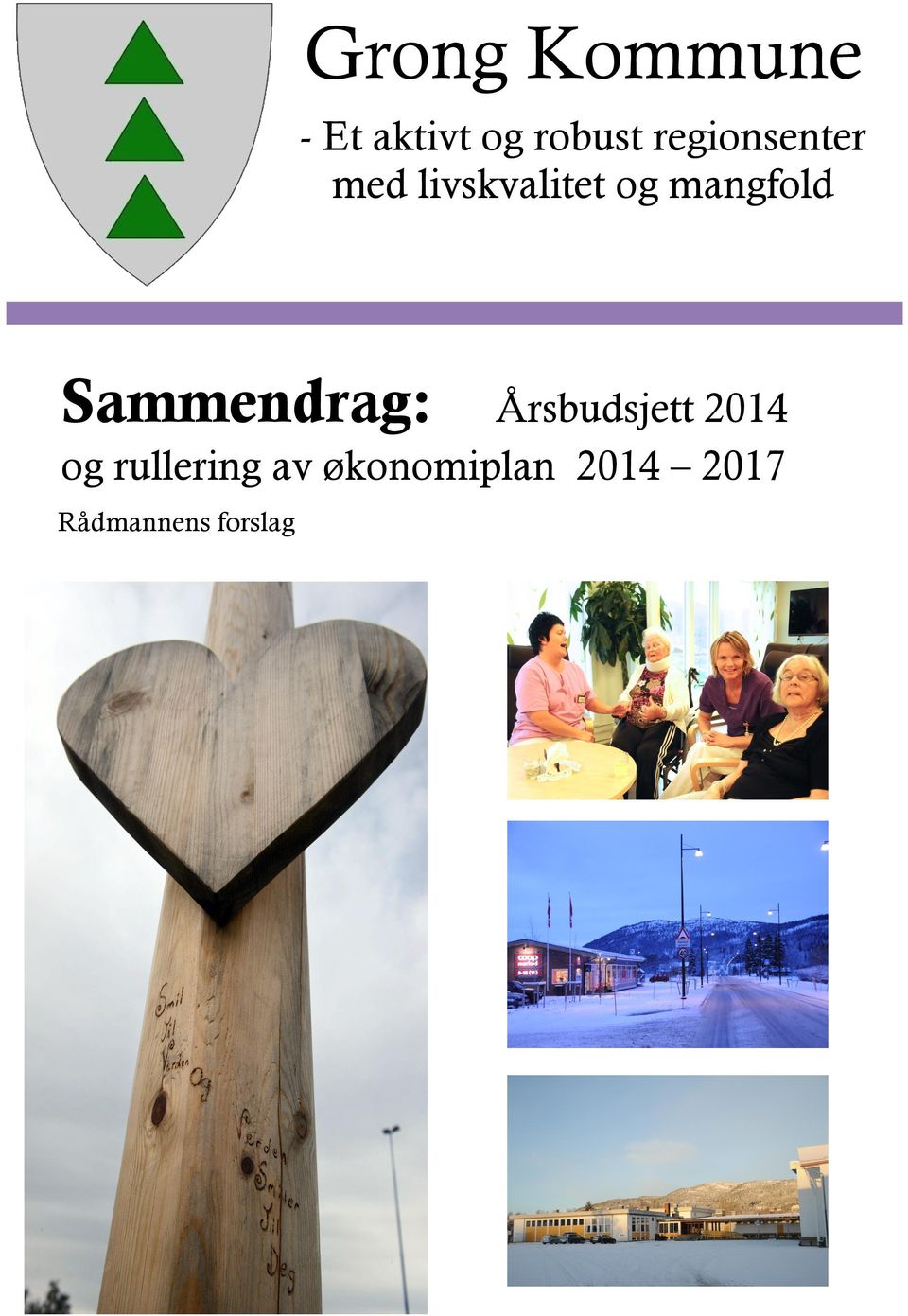 mangfold Sammendrag: Årsbudsjett 2014 og