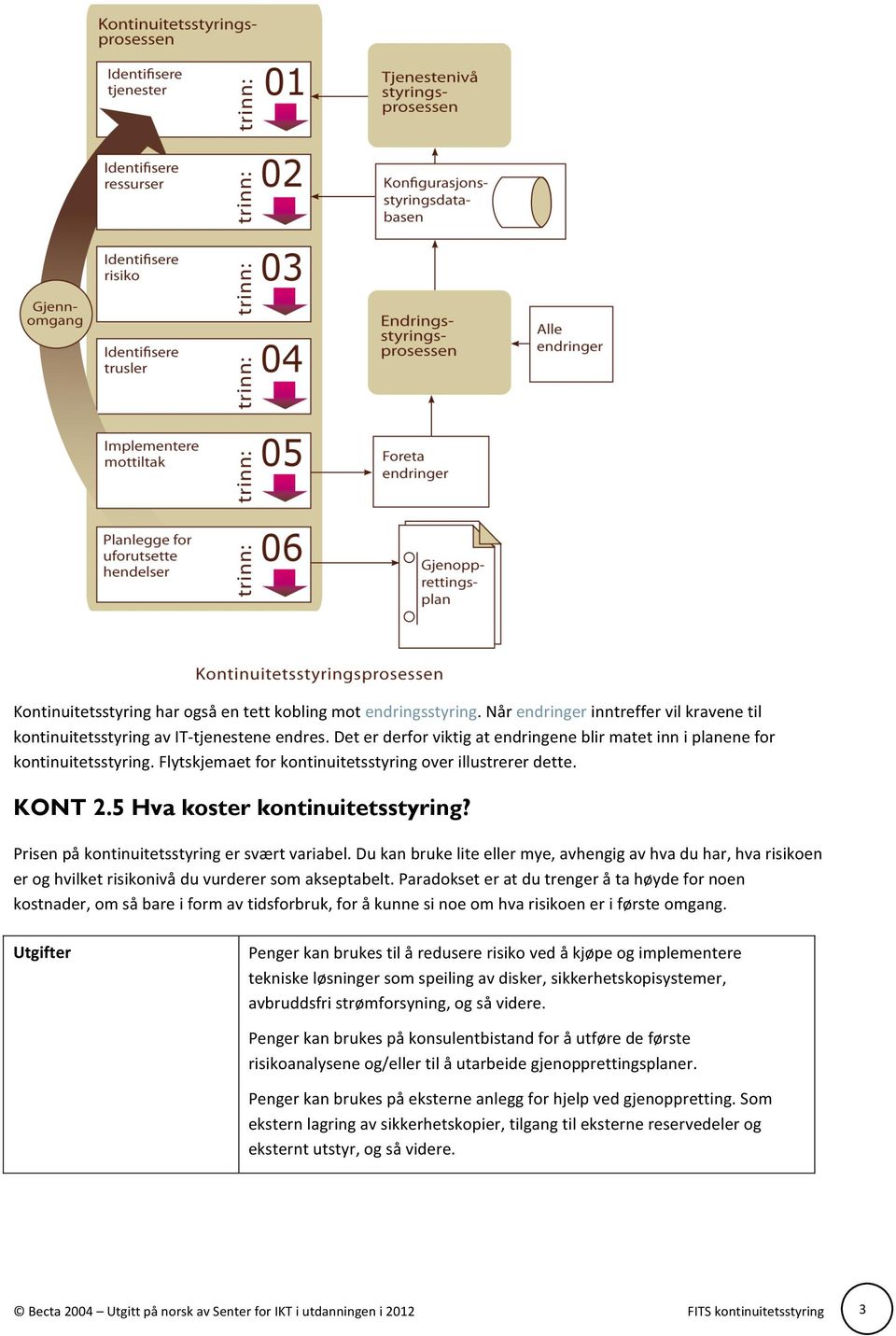 Prisen på kontinuitetsstyring er svært variabel. Du kan bruke lite eller mye, avhengig av hva du har, hva risikoen er og hvilket risikonivå du vurderer som akseptabelt.