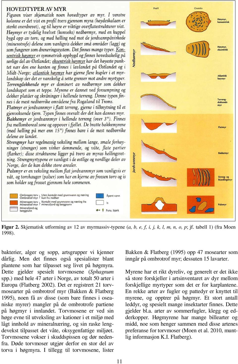 ) med hele 47 arter i Norge, av totalt 50 arter i Europa (Flatberg 2002).