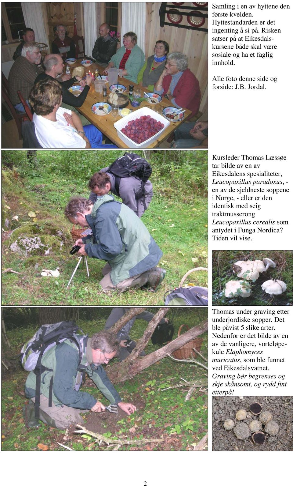 Kursleder Thoas Læssøe tar bilde av en av Eikesdalens spesialiteter, Leucopaxillus paradoxus, - en av de sjeldneste soppene i Norge, - eller er den identisk ed seig traktusserong
