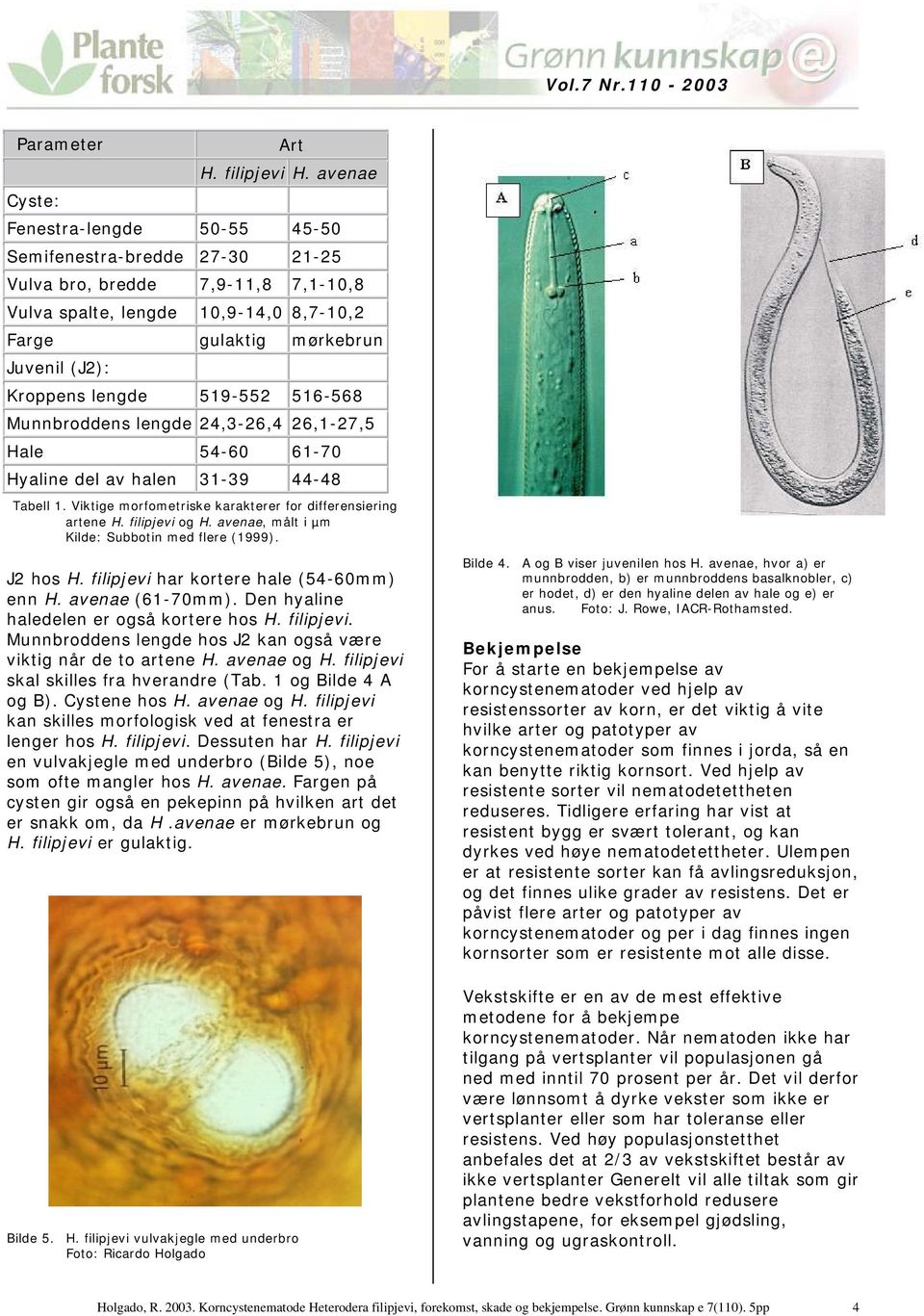 519-552 516-568 Munnbroddens lengde 24,3-26,4 26,1-27,5 Hale 54-60 61-70 Hyaline del av halen 31-39 44-48 Tabell 1. Viktige morfometriske karakterer for differensiering artene H. filipjevi og H.