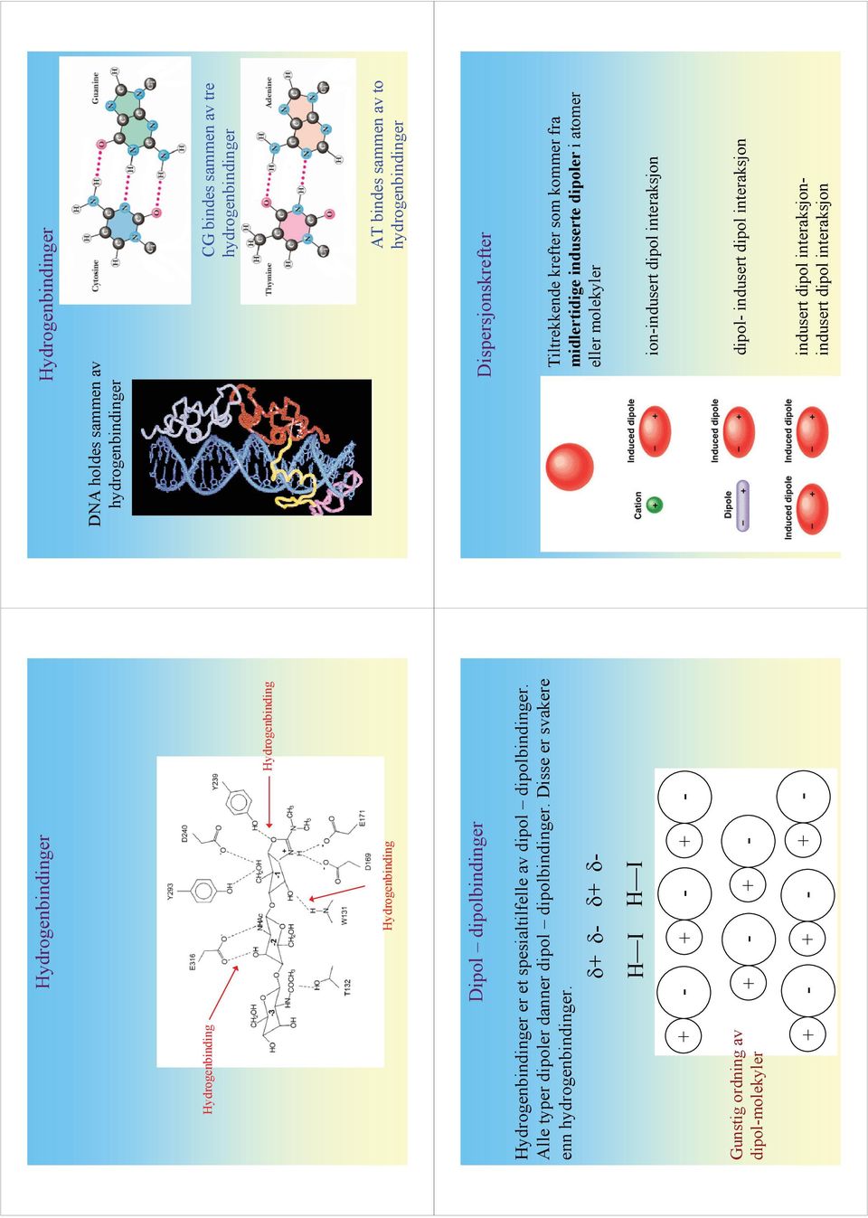 Alle typer dipoler danner dipol dipolbindinger. Disse er svakere enn hydrogenbindinger.