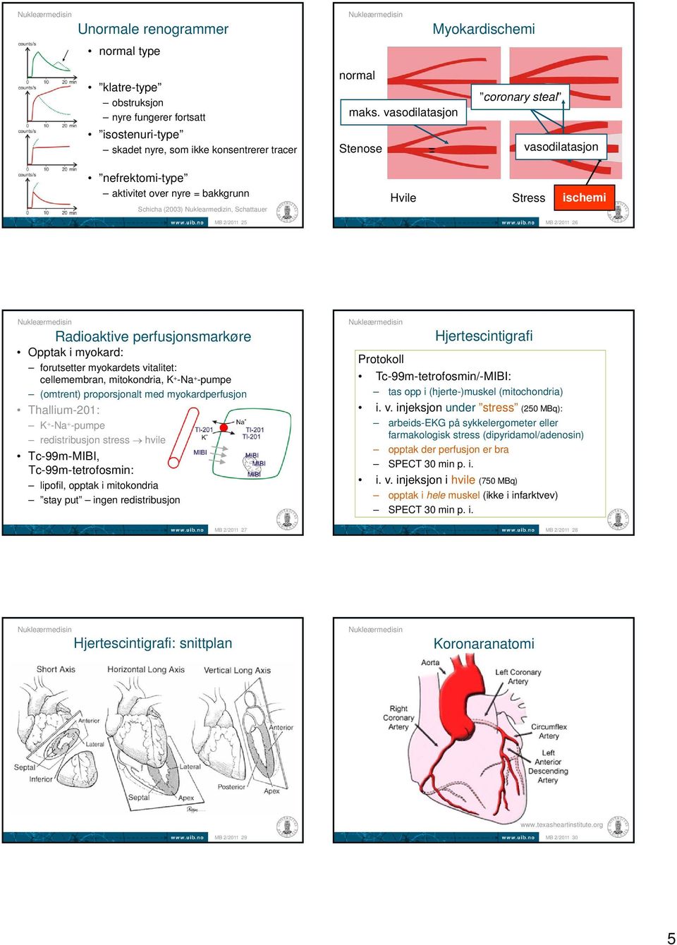 Radioaktive perfusjonsmarkøre Opptak i myokard: forutsetter myokardets vitalitet: cellemembran, mitokondria, K + -Na + -pumpe (omtrent) proporsjonalt med myokardperfusjon Thallium-201: K + -Na +