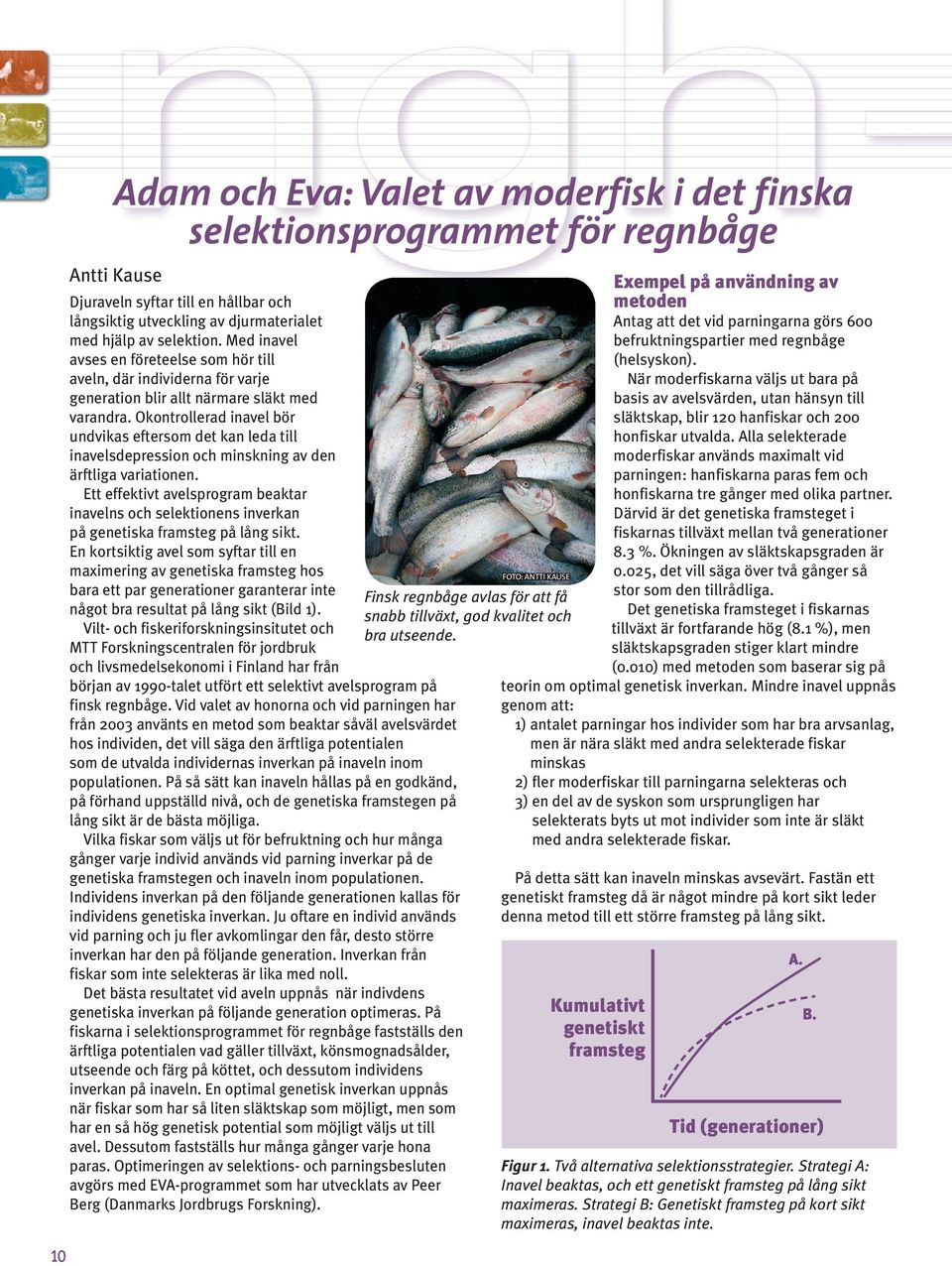 Okontrollerad inavel bör undvikas eftersom det kan leda till inavelsdepression och minskning av den ärftliga variationen.