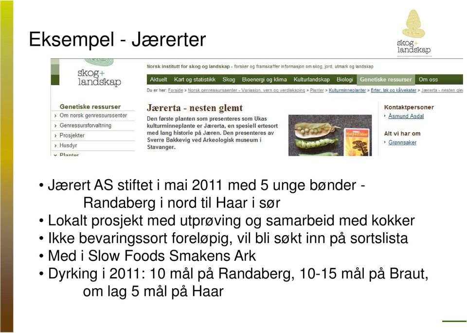 bevaringssort foreløpig, vil bli søkt inn på sortslista Med i Slow Foods Smakens