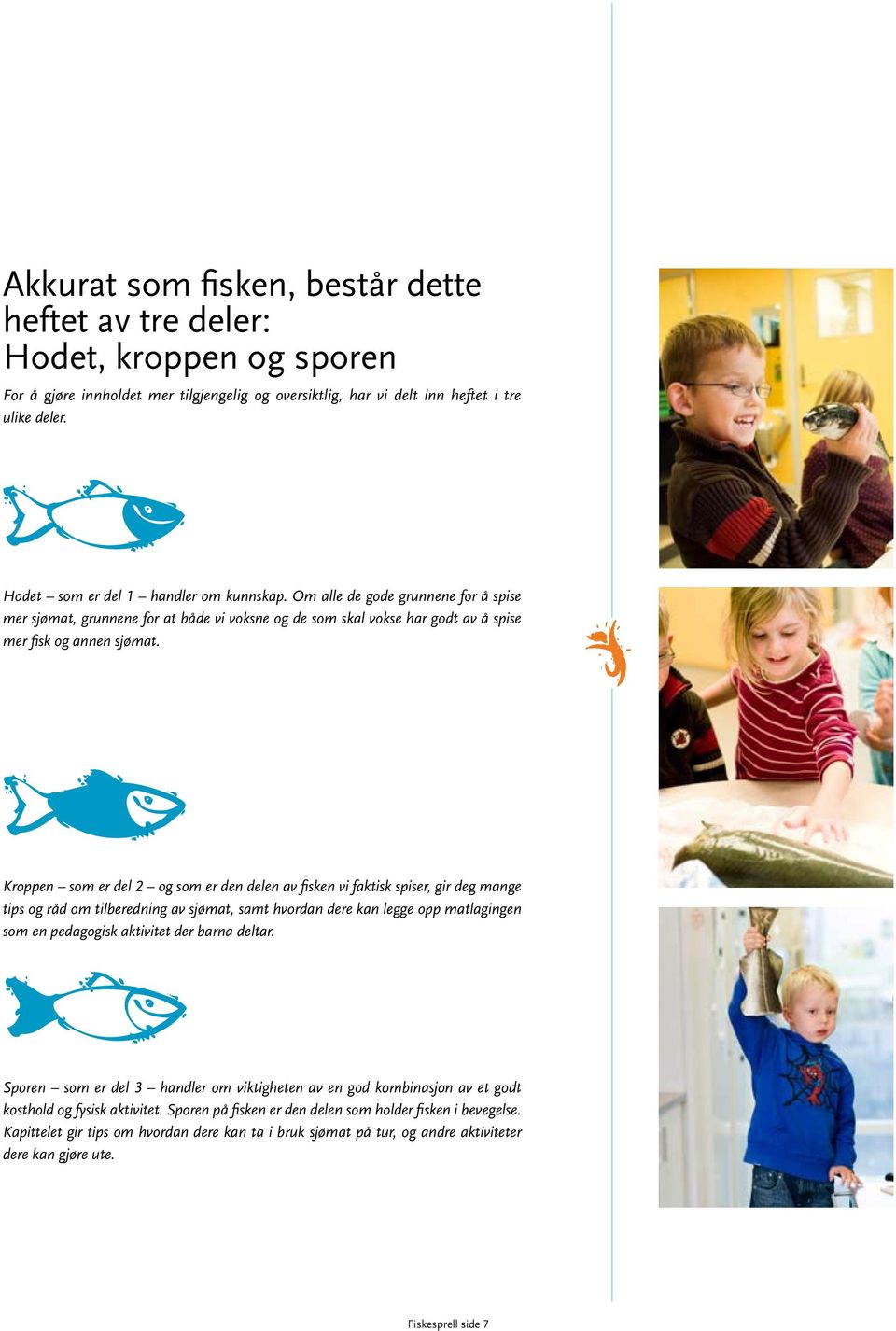 Kroppen som er del 2 og som er den delen av fisken vi faktisk spiser, gir deg mange tips og råd om tilberedning av sjømat, samt hvordan dere kan legge opp matlagingen som en pedagogisk aktivitet der