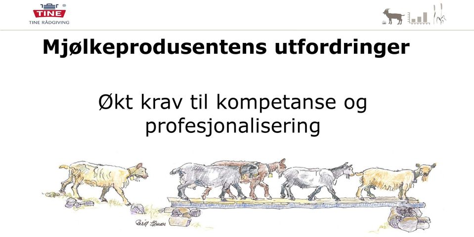 krav til kompetanse