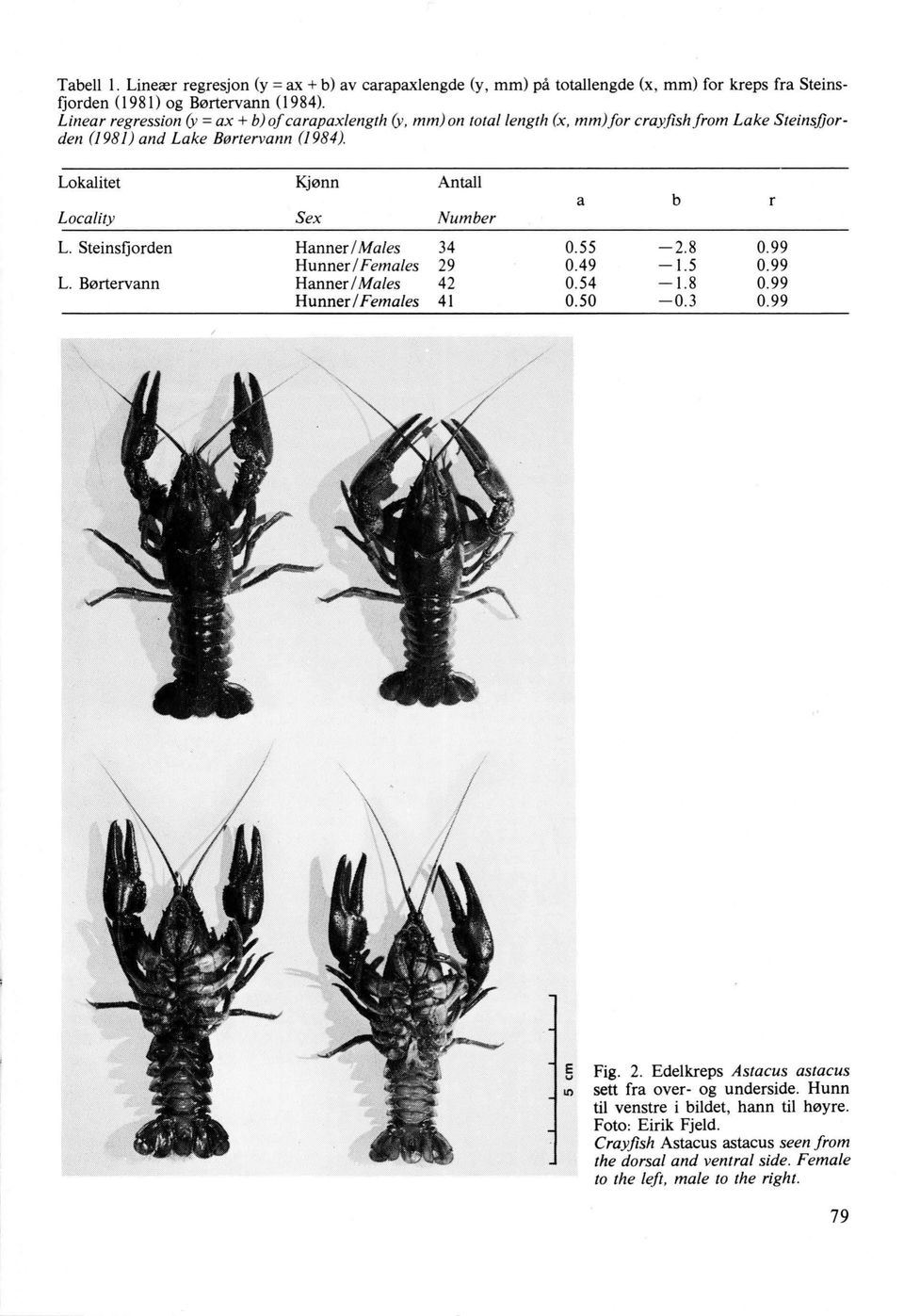 Lokalitet Kjønn Antall Locality Sex Number L. Steinsfjorden Hanner/Males 34 Hunner/ Females 29 L. Børtervann Hanner l Males 42 Hunner l Females 41 a b r 0.55-2.8 0.99 0.49-1.5 0.99 0.54-1.