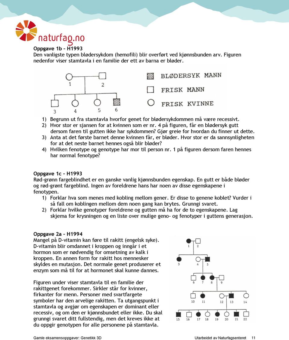 4 på figuren, får en blødersyk gutt dersom faren til gutten ikke har sykdommen? Gjør greie for hvordan du finner ut dette. 3) Anta at det første barnet denne kvinnen får, er bløder.