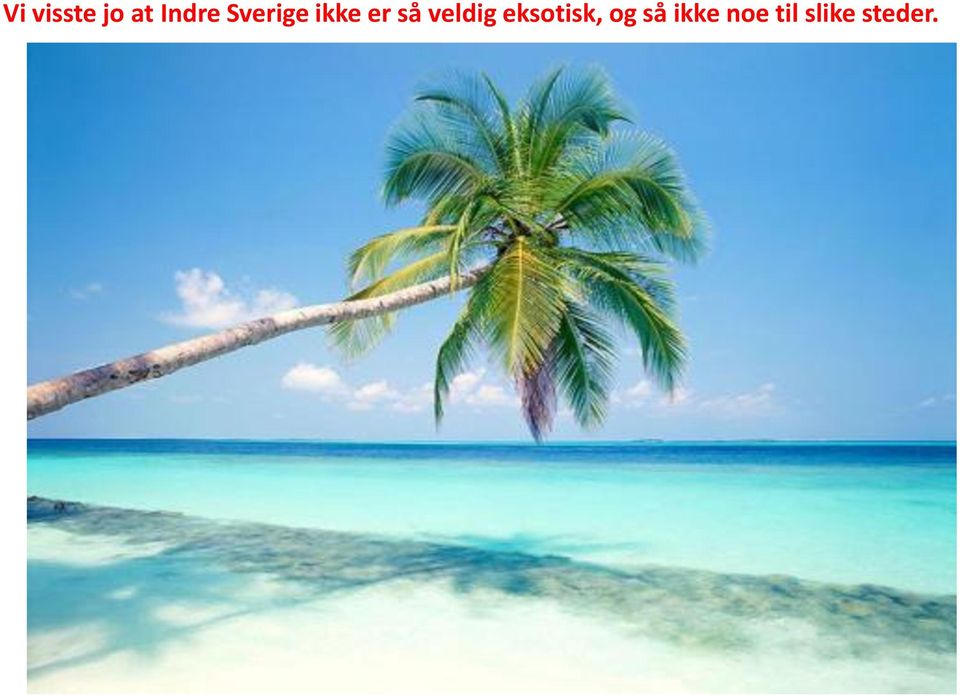 veldig eksotisk, og så