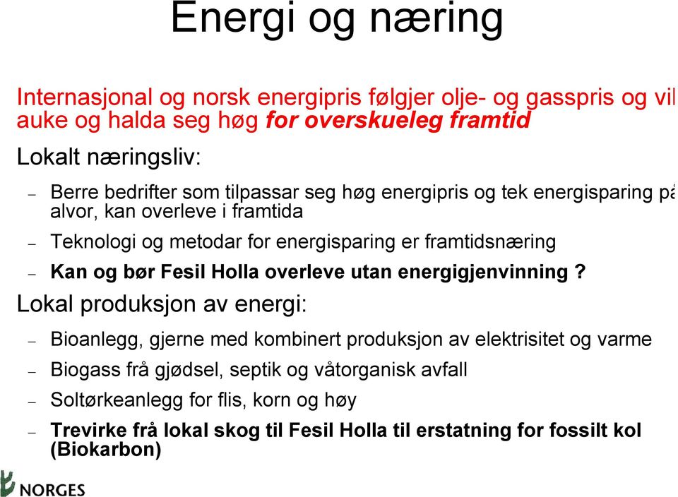 Kan og bør Fesil Holla overleve utan energigjenvinning?