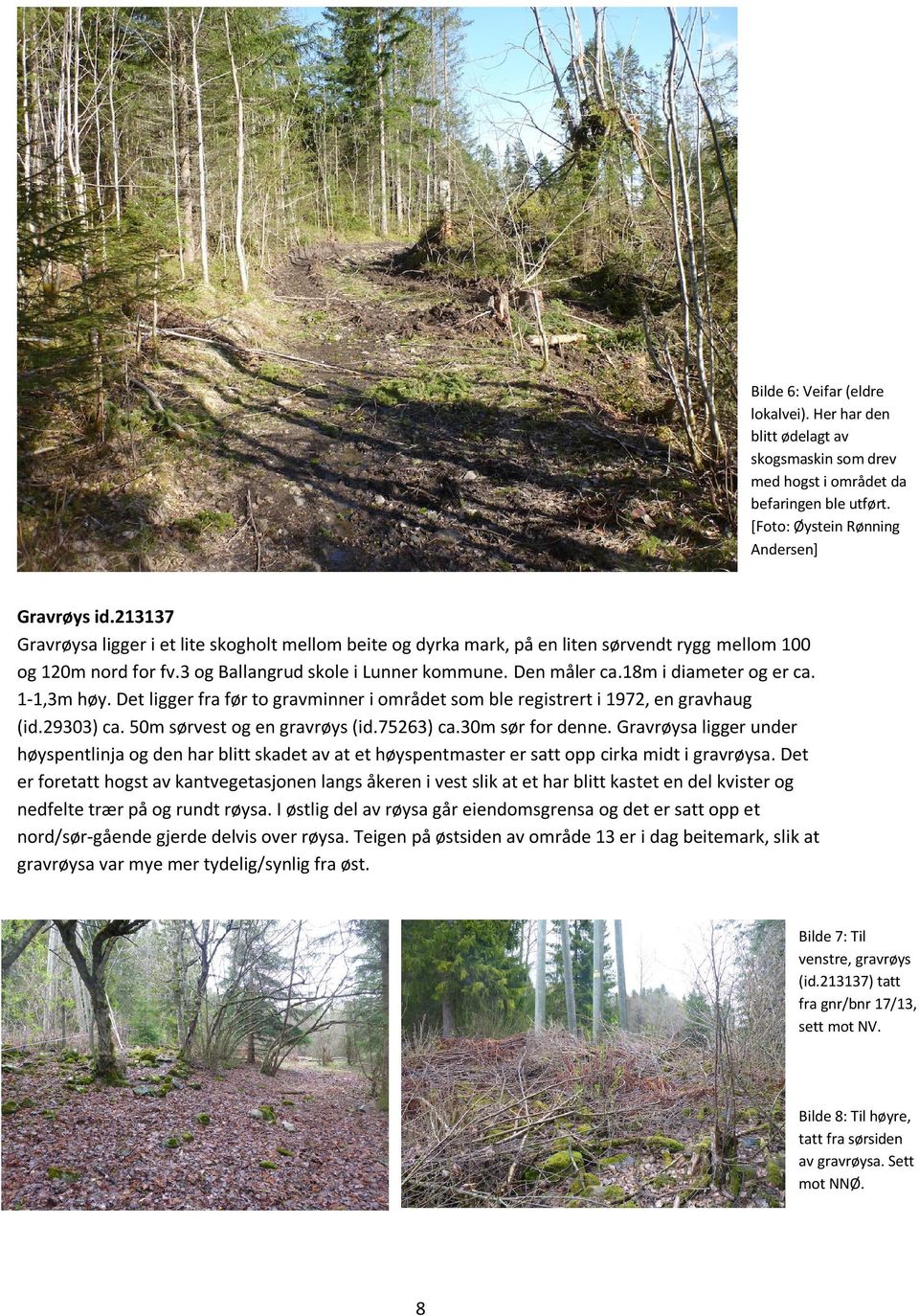 18m i diameter og er ca. 1-1,3m høy. Det ligger fra før to gravminner i området som ble registrert i 1972, en gravhaug (id.29303) ca. 50m sørvest og en gravrøys (id.75263) ca.30m sør for denne.