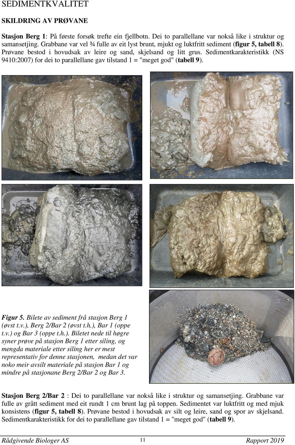 Sedimentkarakteristikk (NS 9410:2007) for dei to parallellane gav tilstand 1 = "meget god" (tabell 9). Figur 5. Bilete av sediment frå stasjon Berg 1 (øvst t.v.), Berg 2/Bar 2 (øvst t.h.