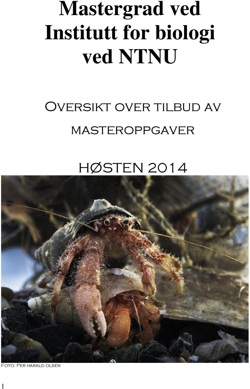 tilbud av masteroppgaver