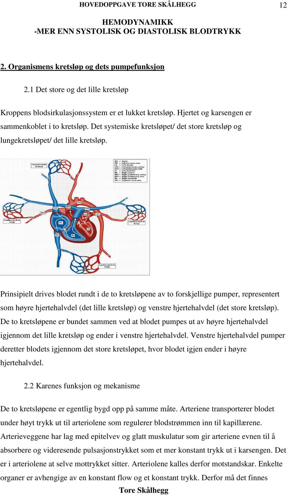 Prinsipielt drives blodet rundt i de to kretsløpene av to forskjellige pumper, representert som høyre hjertehalvdel (det lille kretsløp) og venstre hjertehalvdel (det store kretsløp).