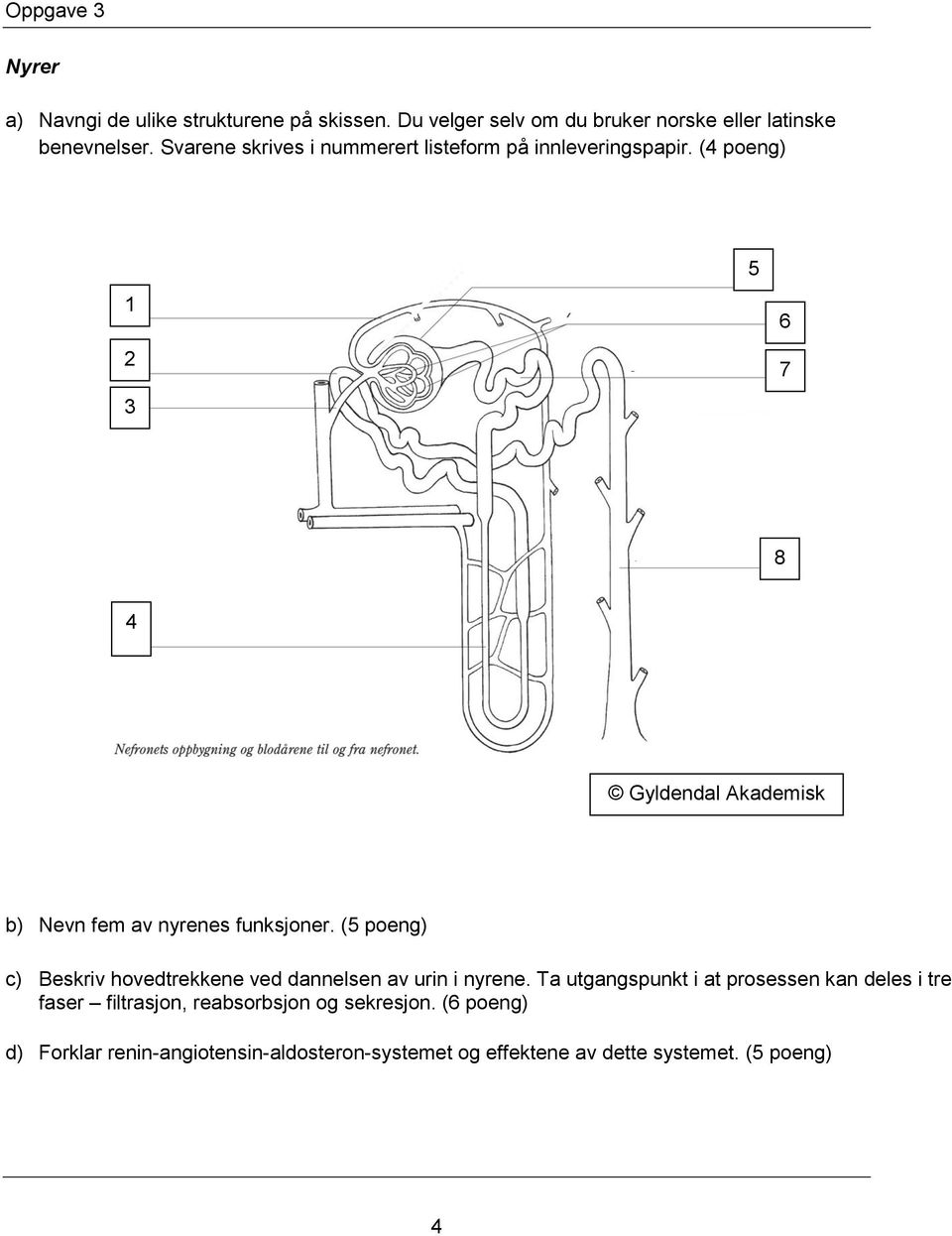 (4 poeng) 1 2 3 5 6 7 8 4 Gyldendal Akademisk b) Nevn fem av nyrenes funksjoner.