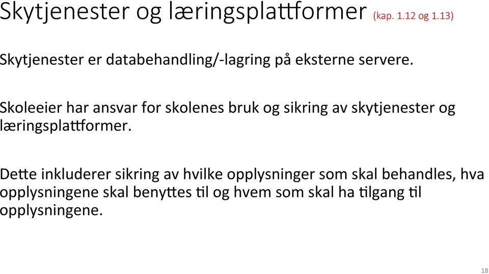 Skoleeier har ansvar for skolenes bruk og sikring av skytjenester og læringsplaformer.