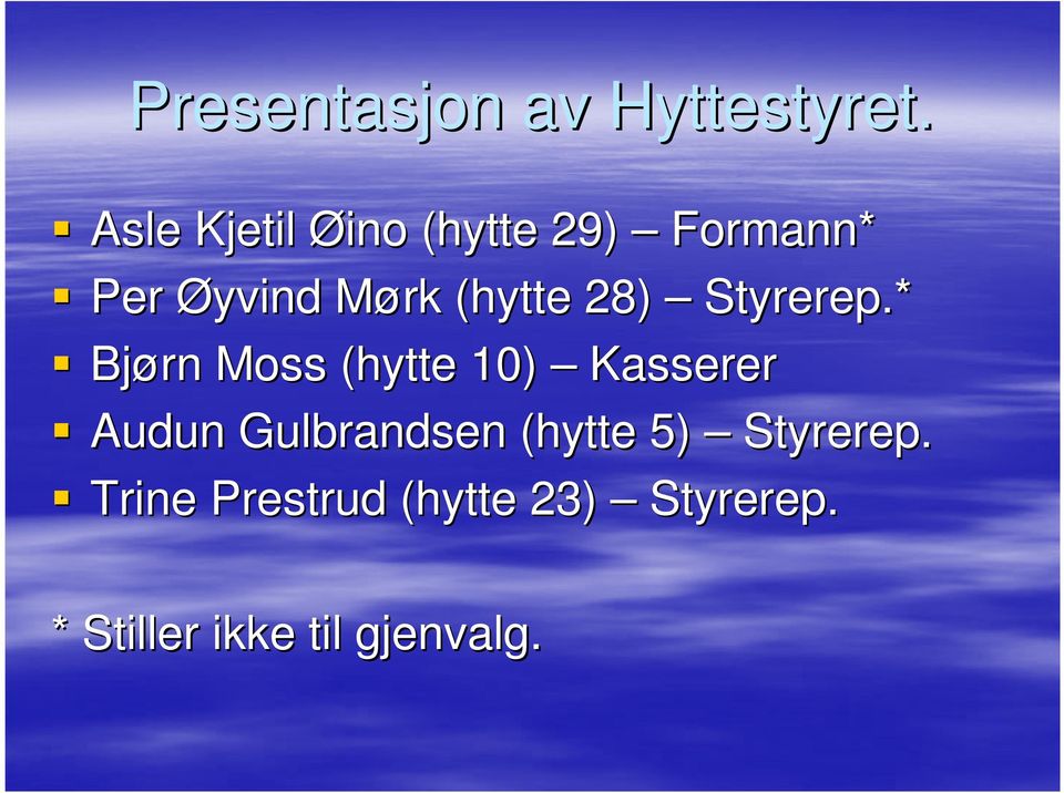 (hytte 28) Styrerep.