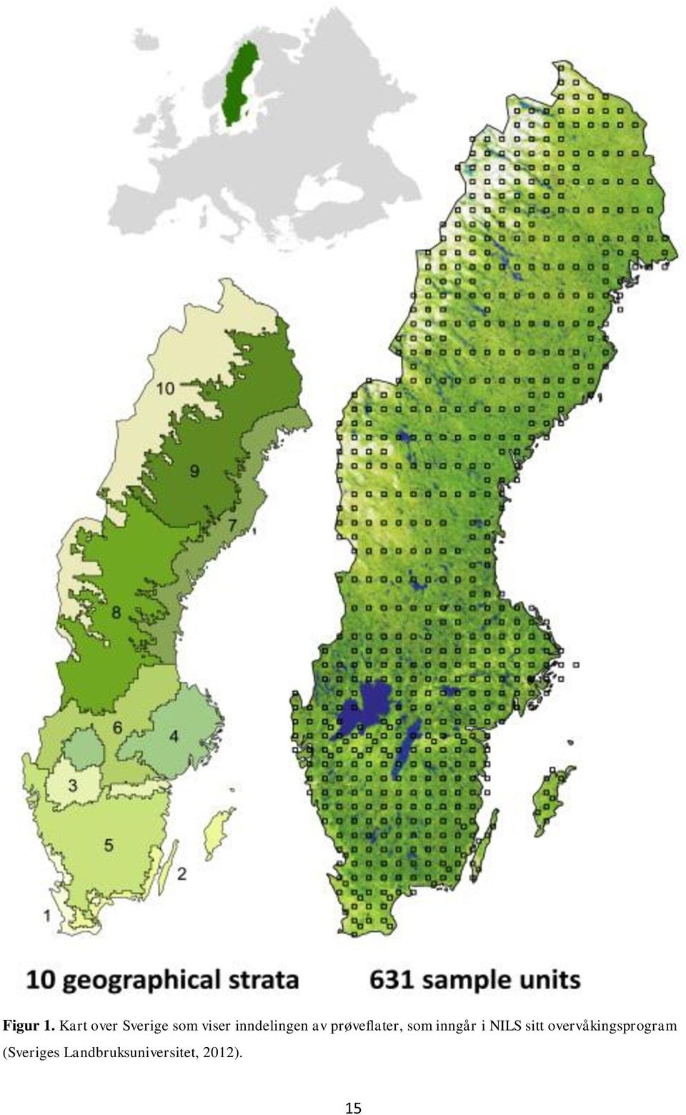 inndelingen av prøveflater, som