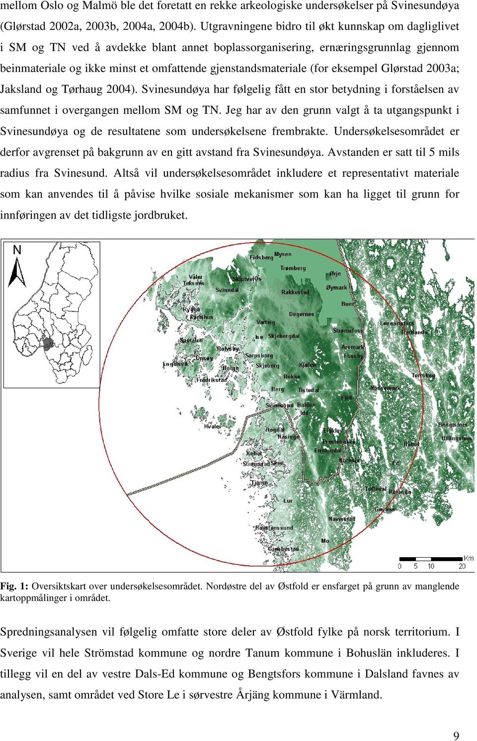 (for eksempel Glørstad 2003a; Jaksland og Tørhaug 2004). Svinesundøya har følgelig fått en stor betydning i forståelsen av samfunnet i overgangen mellom SM og TN.