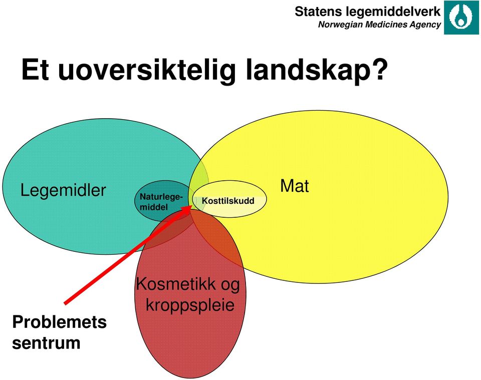 Kosttilskudd Mat Problemets