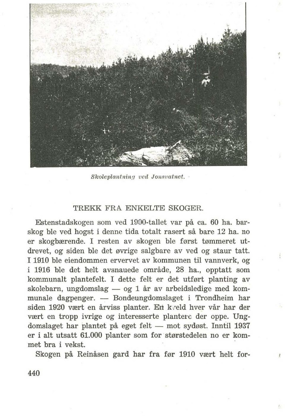 I 1910 ble eiendommen ervervet av kommunen til vannverk, og i 1916 ble det helt avsnauede omracte, 28 ha., opptatt som kommunalt plantefelt.