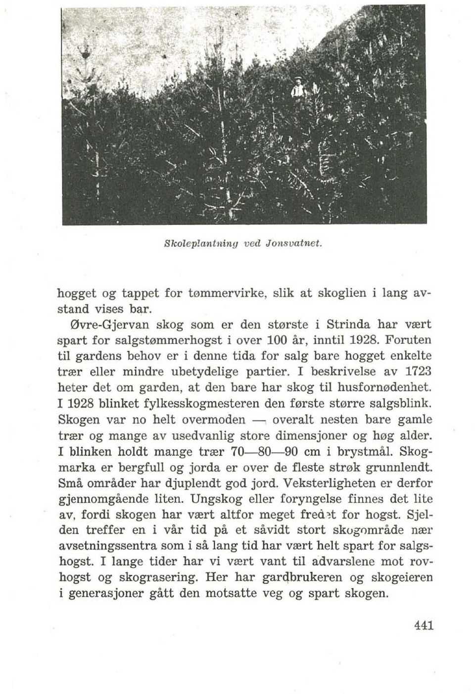 Foruten til gardens behov er i denne tida for salg bare hogget enkelte trrer eller mindre ubetydelige partier. I beskrivelse av 1723 heter det om garden, at den bare har skog til husforn0denhet.