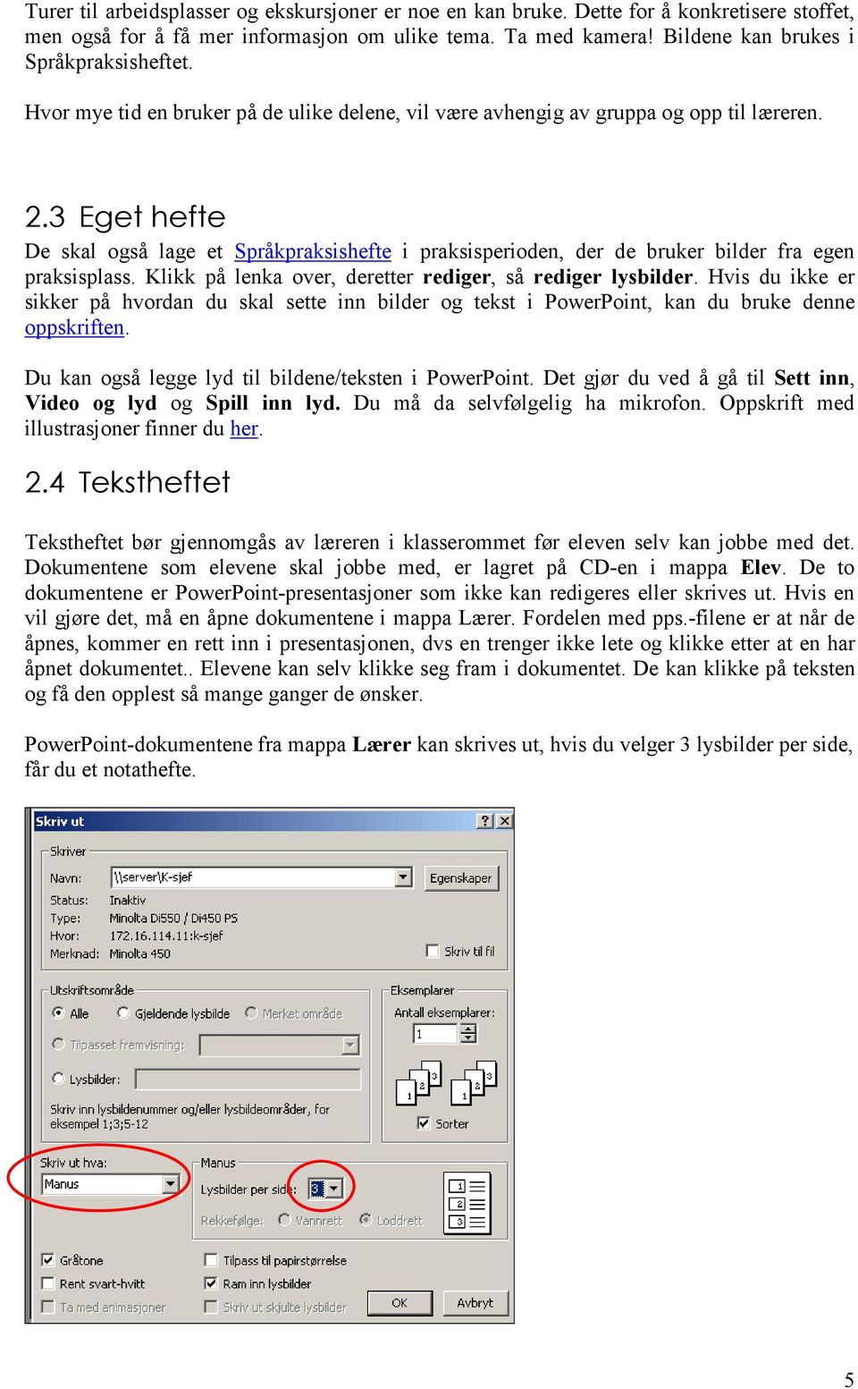 3 Eget hefte De skal også lage et Språkpraksishefte i praksisperioden, der de bruker bilder fra egen praksisplass. Klikk på lenka over, deretter rediger, så rediger lysbilder.