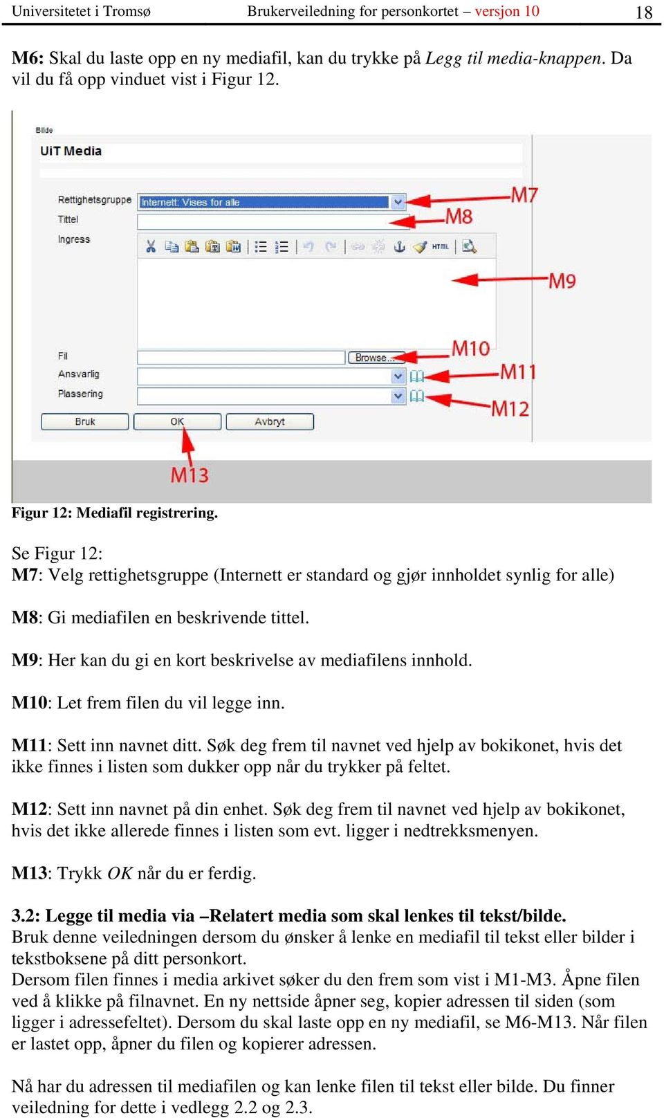 M9: Her kan du gi en kort beskrivelse av mediafilens innhold. M10: Let frem filen du vil legge inn. M11: Sett inn navnet ditt.