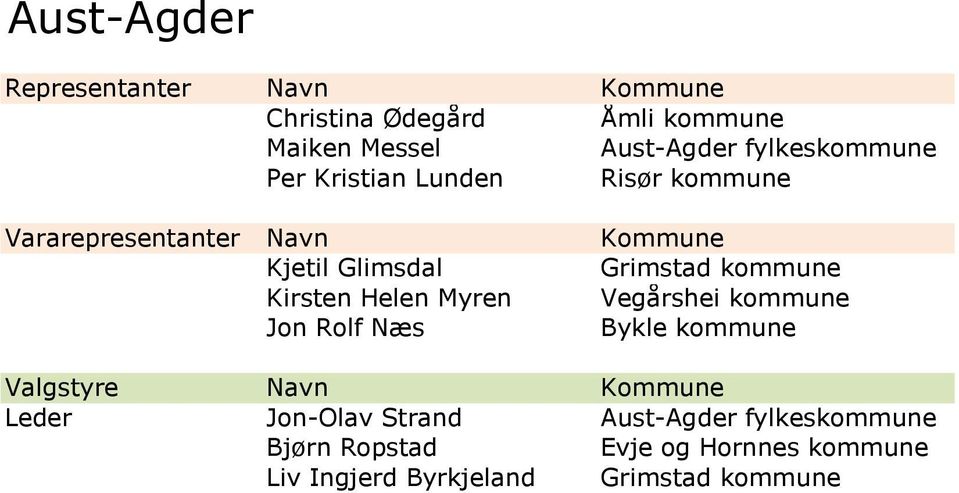 Kirsten Helen Myren Vegårshei kommune Jon Rolf Næs Bykle kommune Leder Jon-Olav Strand