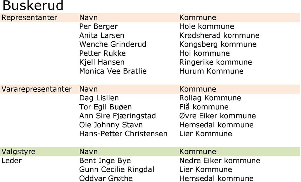 Tor Egil Buøen Flå kommune Ann Sire Fjæringstad Øvre Eiker kommune Ole Johnny Stavn Hemsedal kommune Hans-Petter