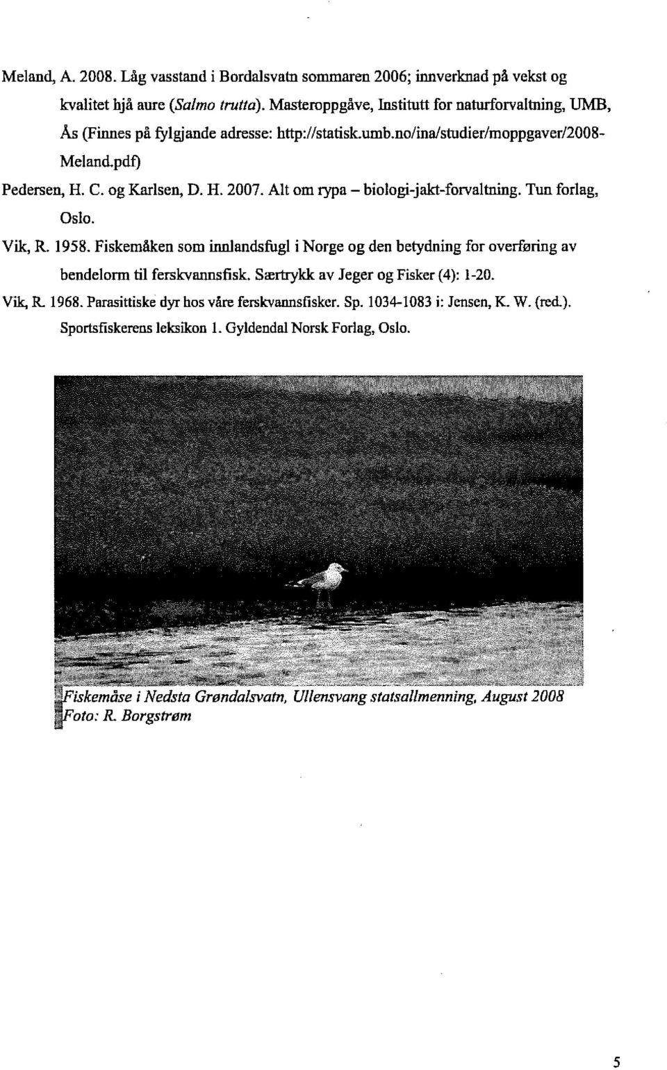Alt om rypa - biologi-jakt-forvaltning. Tun forlag, Oslo. Vik, R. 1958. Fiskemåken som innlandsfugl i Norge og den betydning for overføring av bendelorm til ferskvannsfisk.
