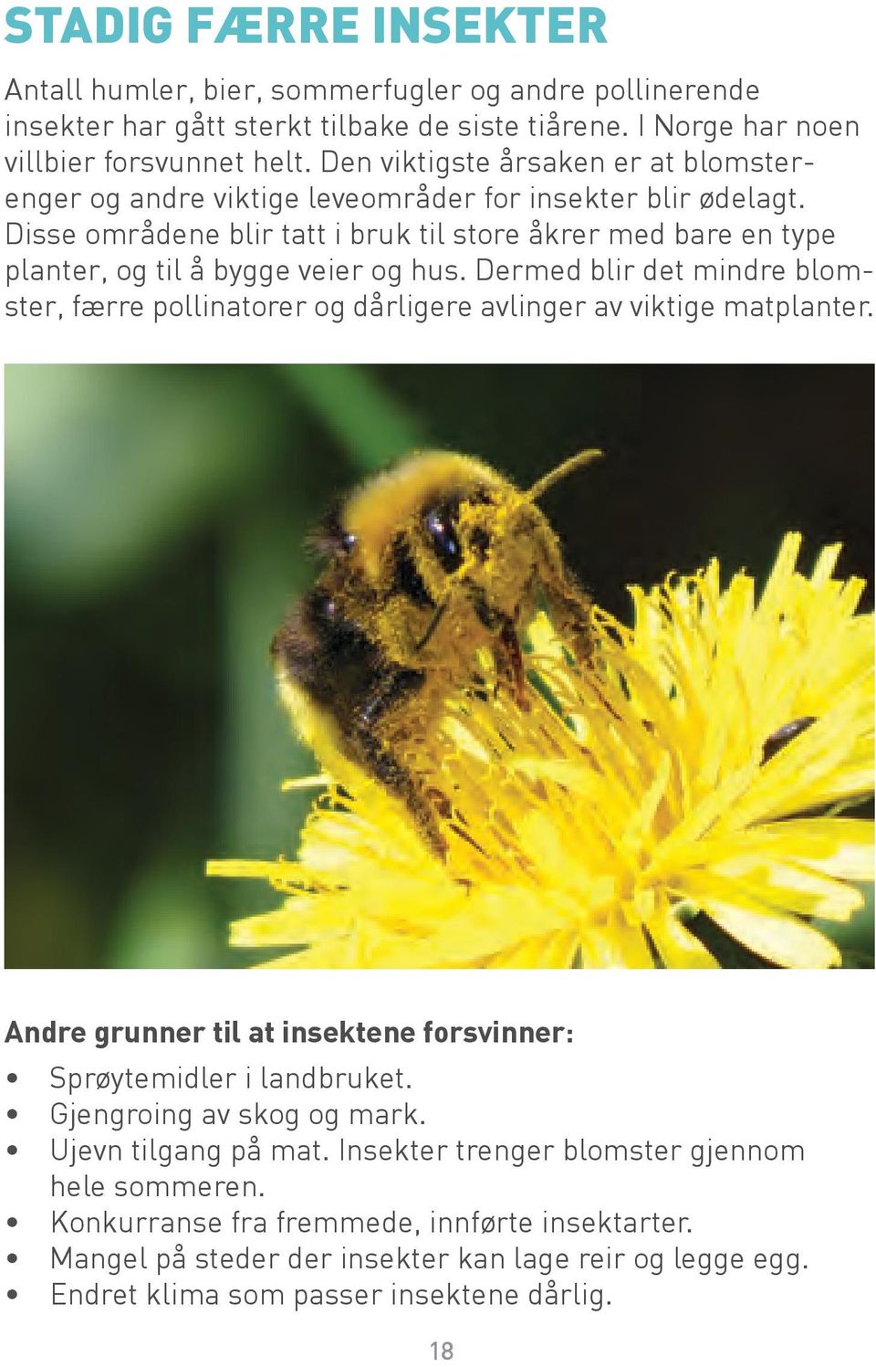 Disse områdene blir tatt i bruk til store åkrer med bare en type planter, og til å bygge veier og hus.