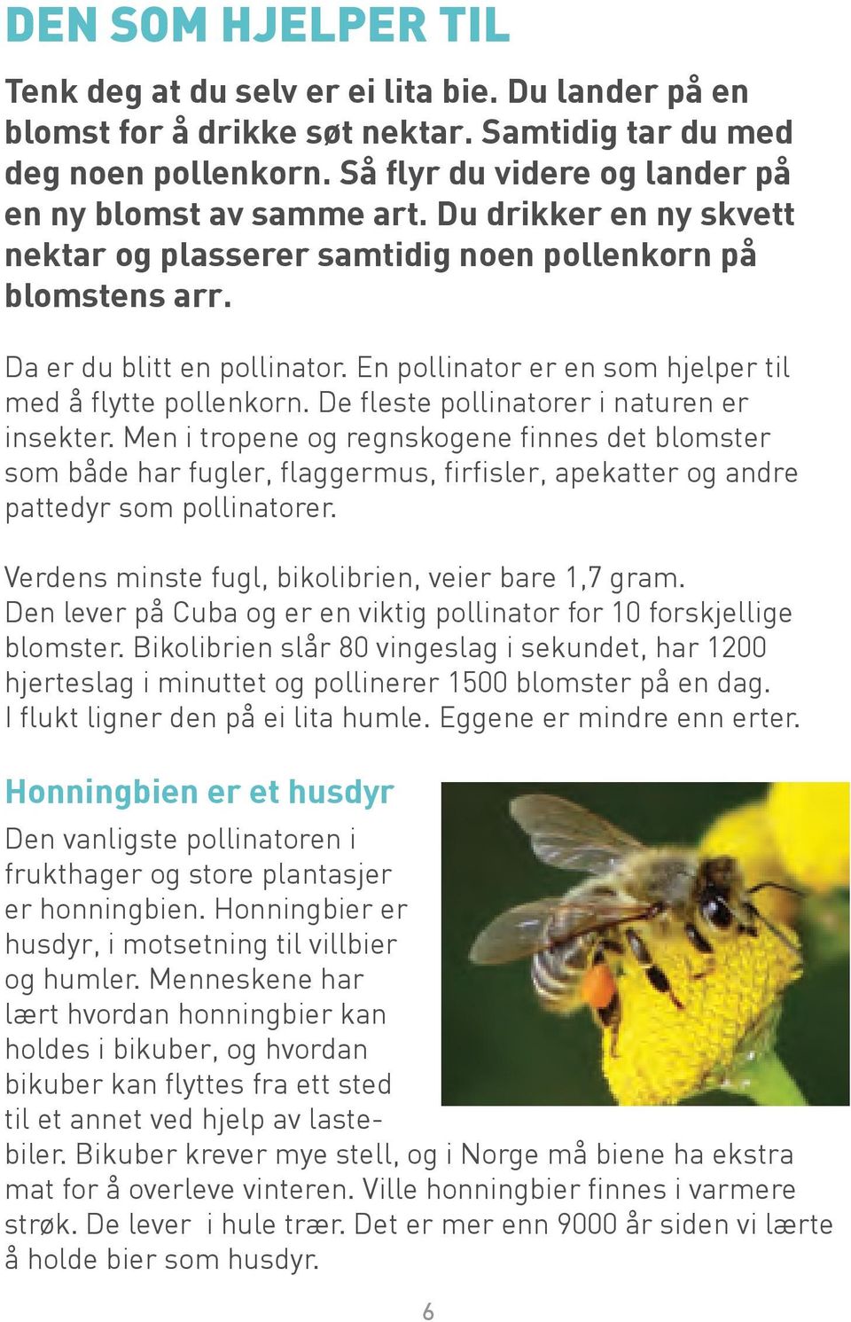 En pollinator er en som hjelper til med å flytte pollenkorn. De fleste pollinatorer i naturen er insekter.