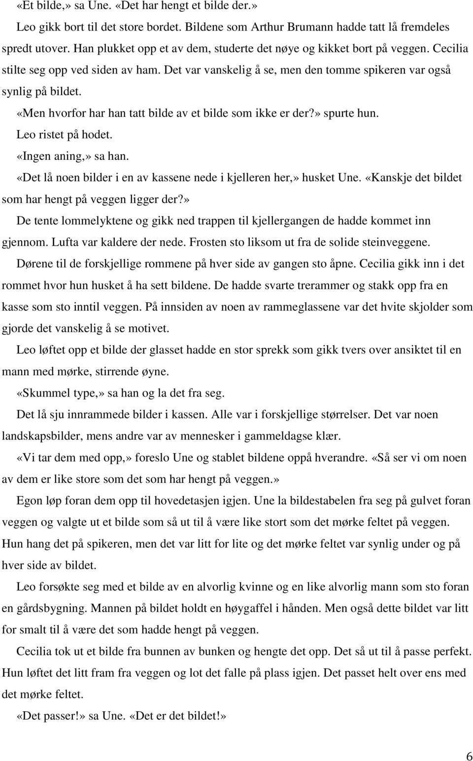 «Men hvorfor har han tatt bilde av et bilde som ikke er der?» spurte hun. Leo ristet på hodet. «Ingen aning,» sa han. «Det lå noen bilder i en av kassene nede i kjelleren her,» husket Une.