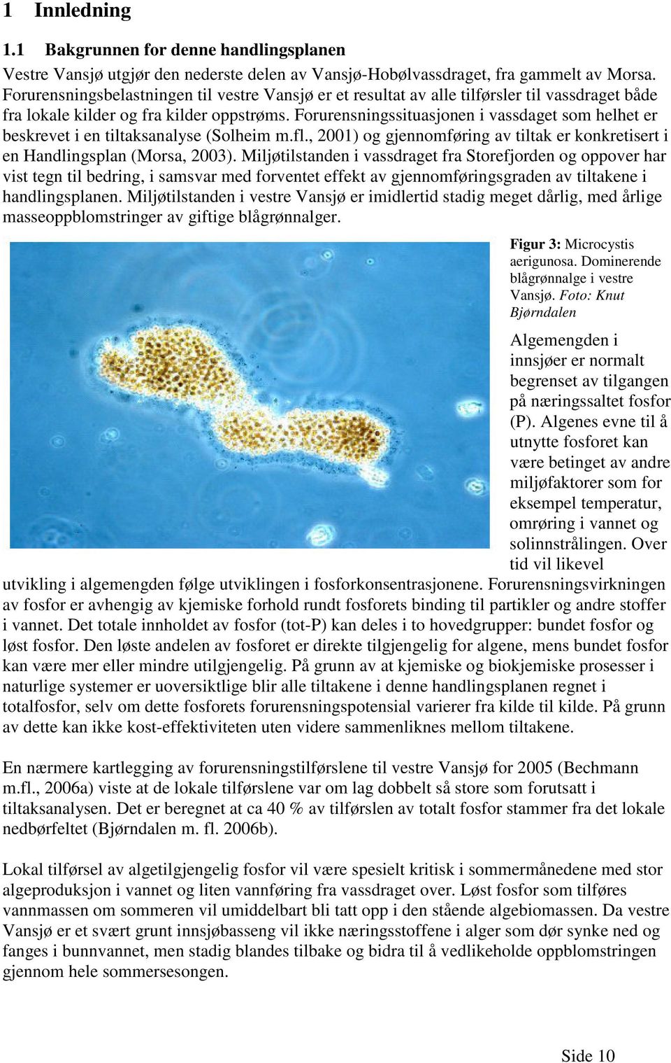 Forurensningssituasjonen i vassdaget som helhet er beskrevet i en tiltaksanalyse (Solheim m.fl., 2001) og gjennomføring av tiltak er konkretisert i en Handlingsplan (Morsa, 2003).