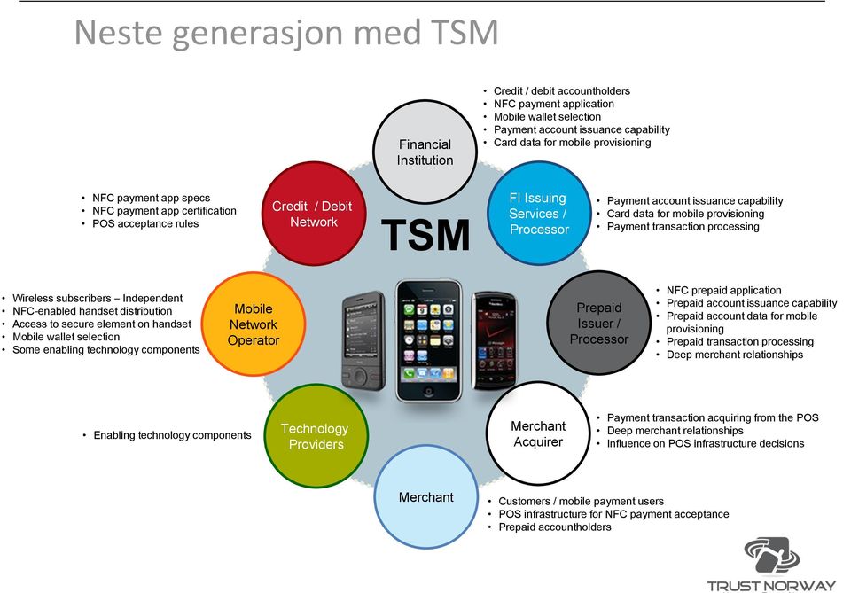 Payment transaction processing Wireless subscribers Independent NFC-enabled handset distribution Access to secure element on handset Mobile wallet selection Some enabling technology components Mobile