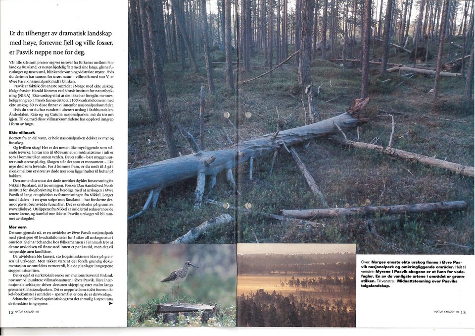 i, l)liflkende vann og vidstrakte niyrer. vis du derimot bar sansen for urort natur villmark med stor V, er Dyre Pasvik iiasjonalpark midt i blinken.