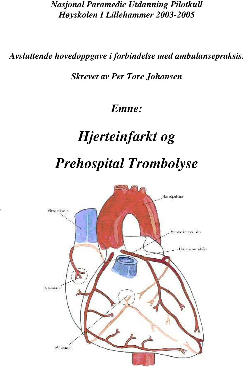 forbindelse med ambulansepraksis.