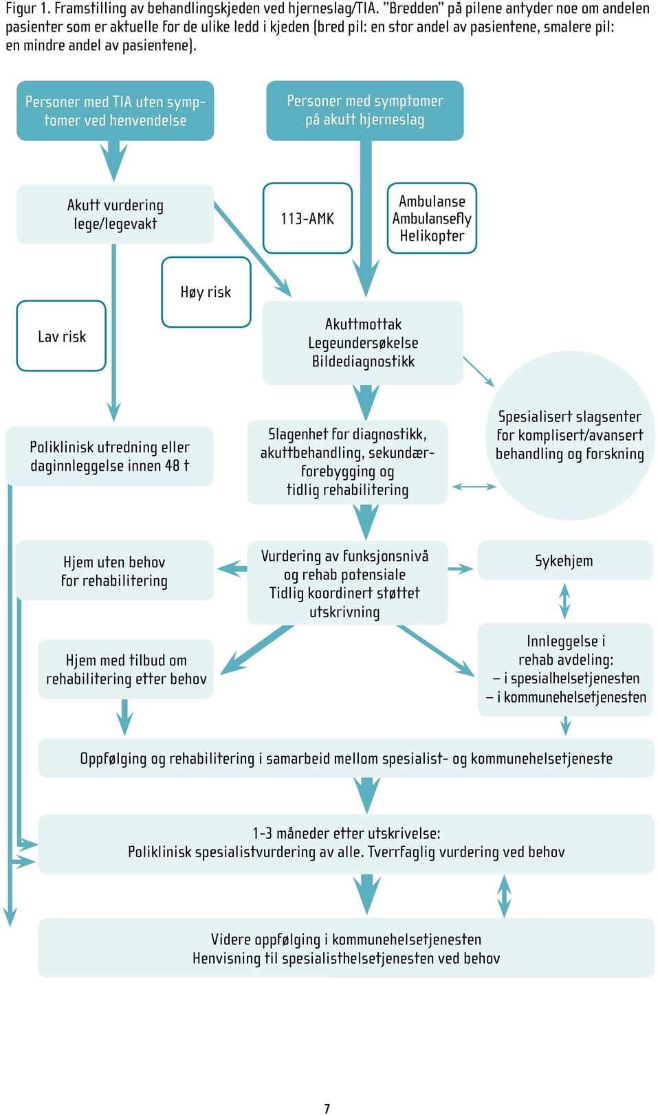 Personer med TIA uten symptomer ved henvendelse Personer med symptomer på akutt hjerneslag Akutt vurdering lege/legevakt 113-AMK Ambulanse Ambulansefly Helikopter Høy risk Lav risk Akuttmottak