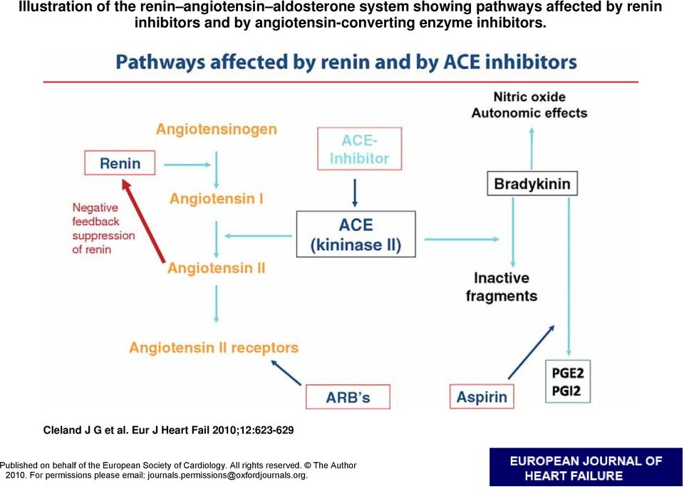 Eur J Heart Fail 2010;12:623-629 Published on behalf of the European Society of Cardiology.