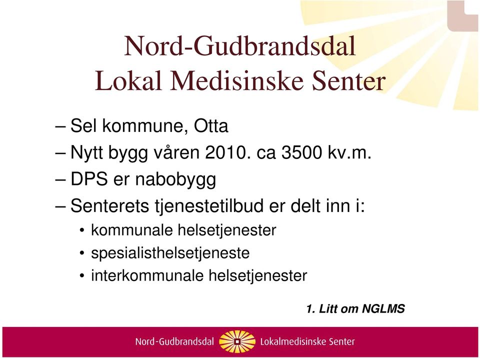 DPS er nabobygg Senterets tjenestetilbud er delt inn i: