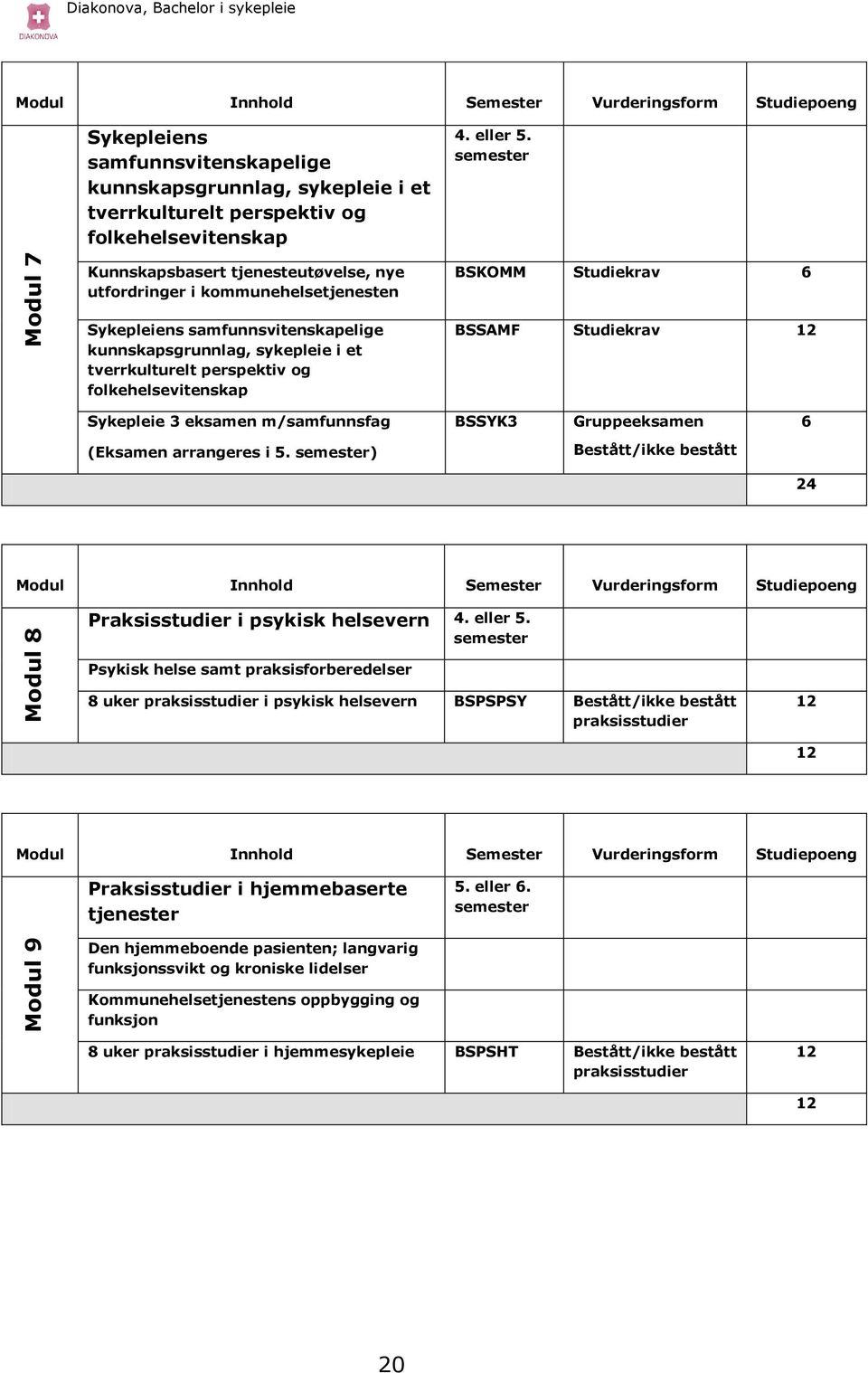 semester Kunnskapsbasert tjenesteutøvelse, nye utfordringer i kommunehelsetjenesten Sykepleiens samfunnsvitenskapelige kunnskapsgrunnlag, sykepleie i et tverrkulturelt perspektiv og