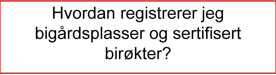 bigårdsplasser