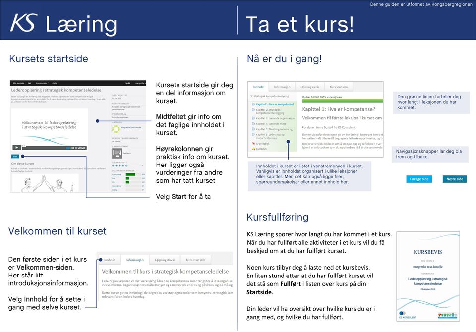 kurset er listet i venstremenyen i Vanligvis er innholdet organisert i ulike leksjoner eller kapitler. Men det kan også ligge filer, spørreundersøkelser eller annet innhold her.