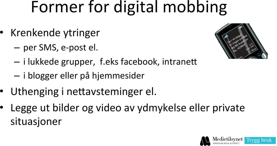 eks facebook, intraner i blogger eller på hjemmesider